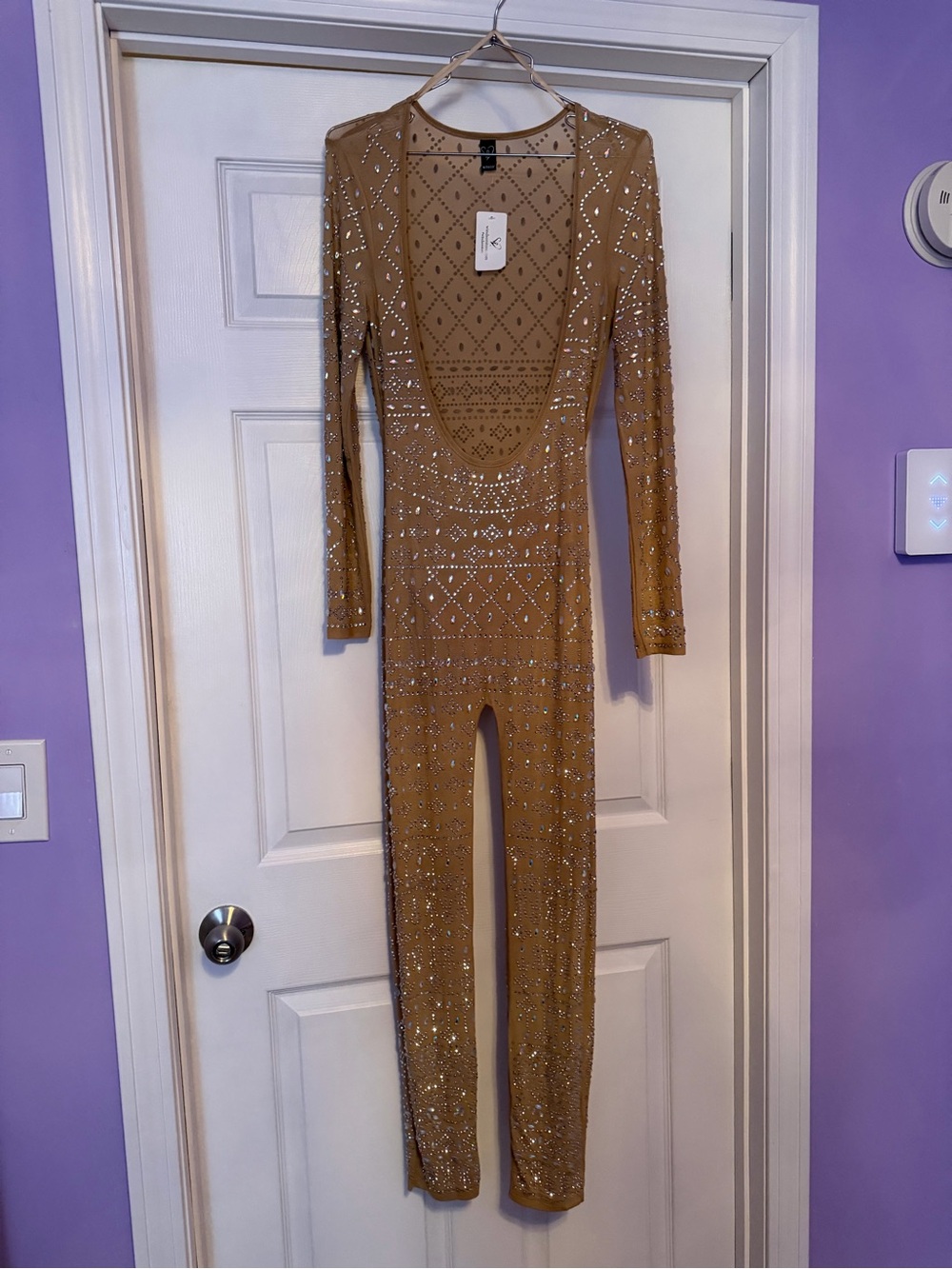 Iridescent Sparkle Rhinestone-Embellished Sheer Catsuit